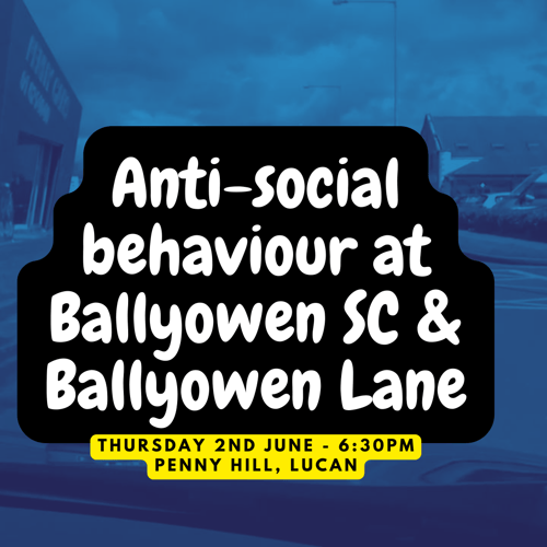 Anti-social behaviour at Ballyowen SC & Ballyowen Lane